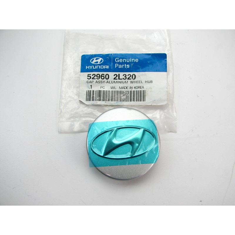 (1) NEW GENUINE Wheel Center Cap OEM For Hyundai 529602L320