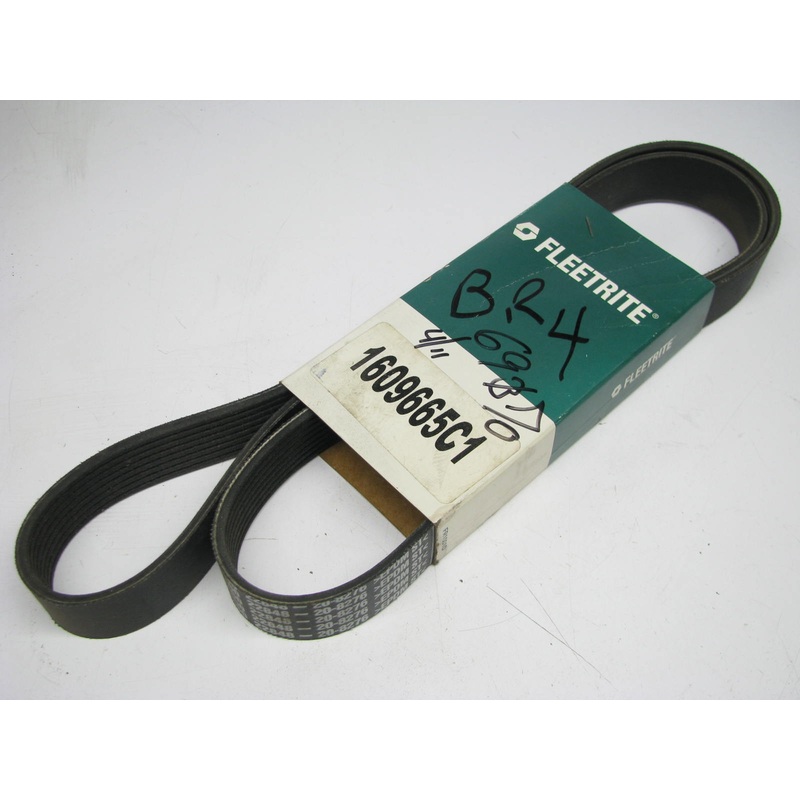 Fleetrite 1609665C1 Serpentine Belt